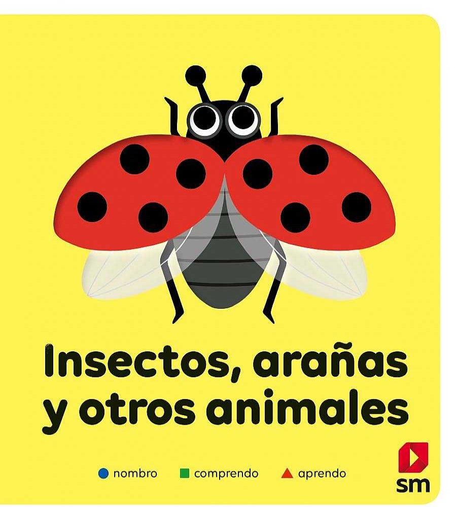 Libros Dideco Atlas, Tierra Y Animales | Insectos, Ara As Y Otros Animales