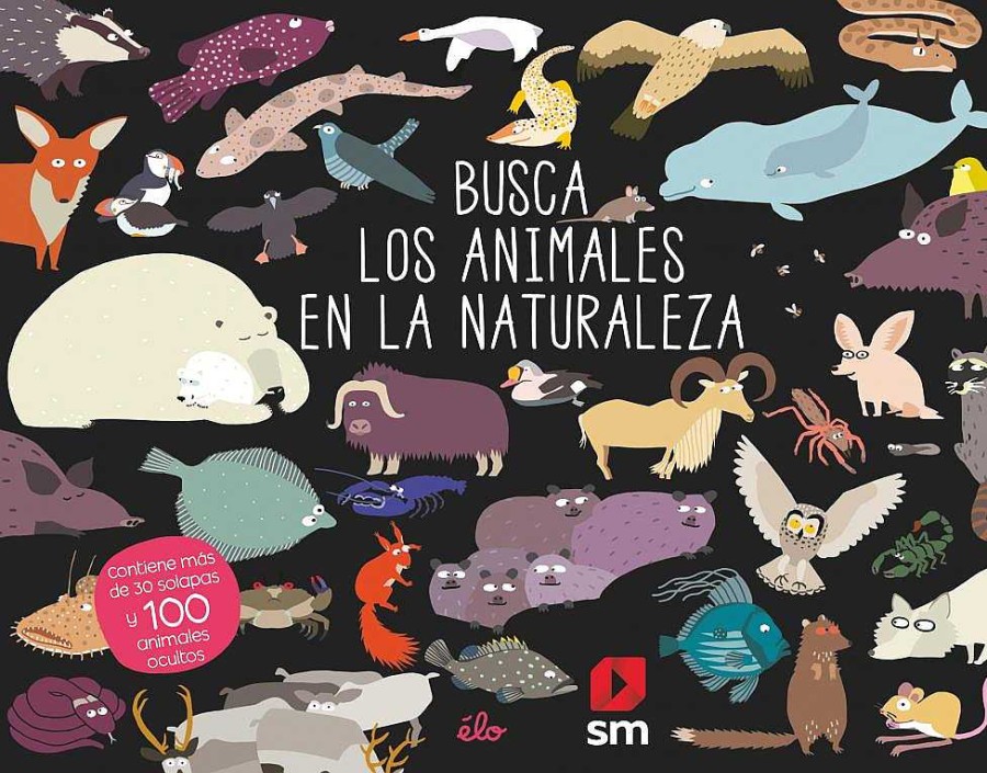 Libros Dideco Busca Y Encuentra | Busca Los Animales En La Naturaleza