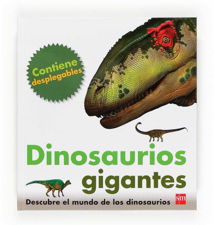 Libros Dideco Dinosaurios | Dinosaurios Gigantes