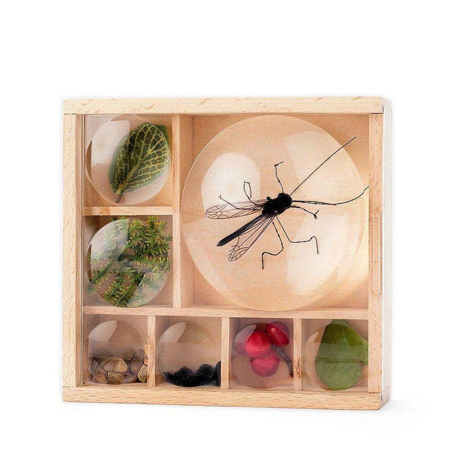 Juguetes Kikkerland Naturaleza Y Exploraci N | Caja Con Lupas Para Observaci N De Insectos