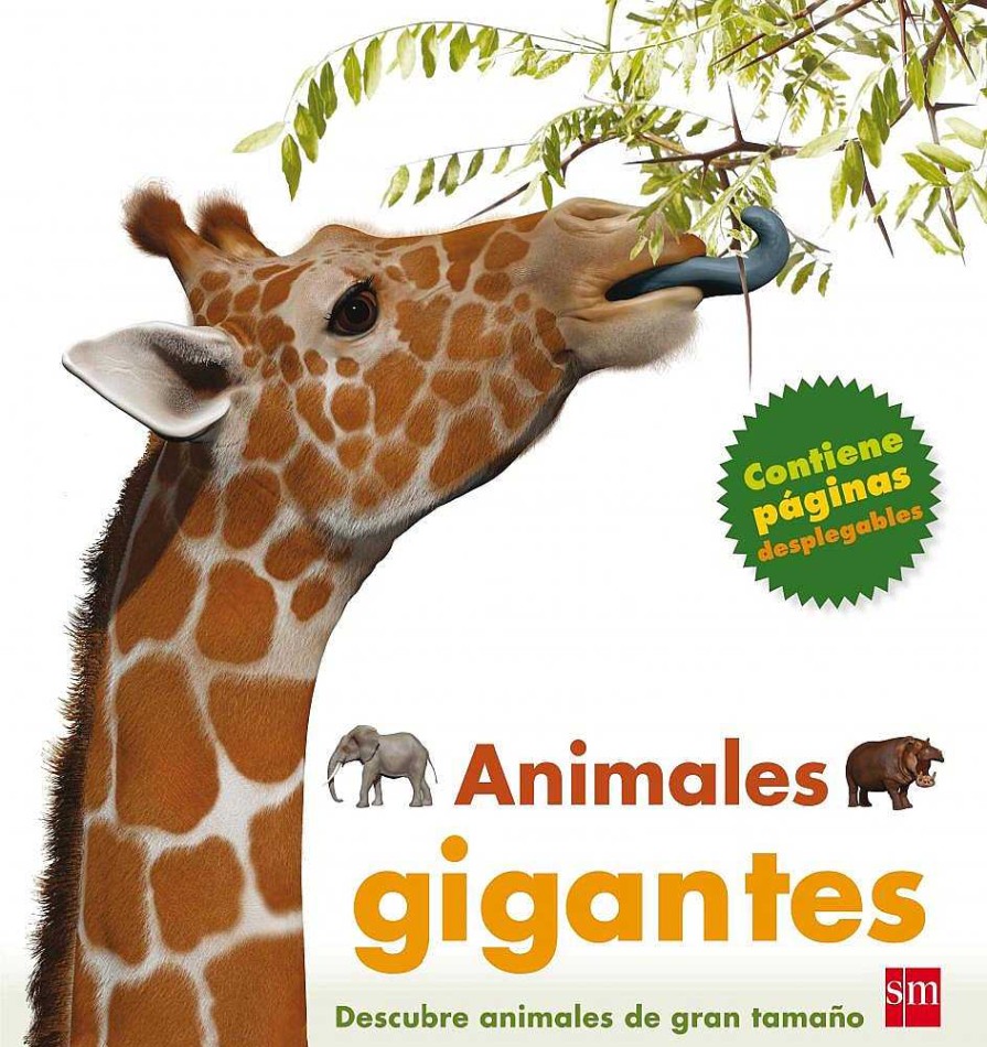 Libros Dideco Atlas, Tierra Y Animales | Animales Gigantes