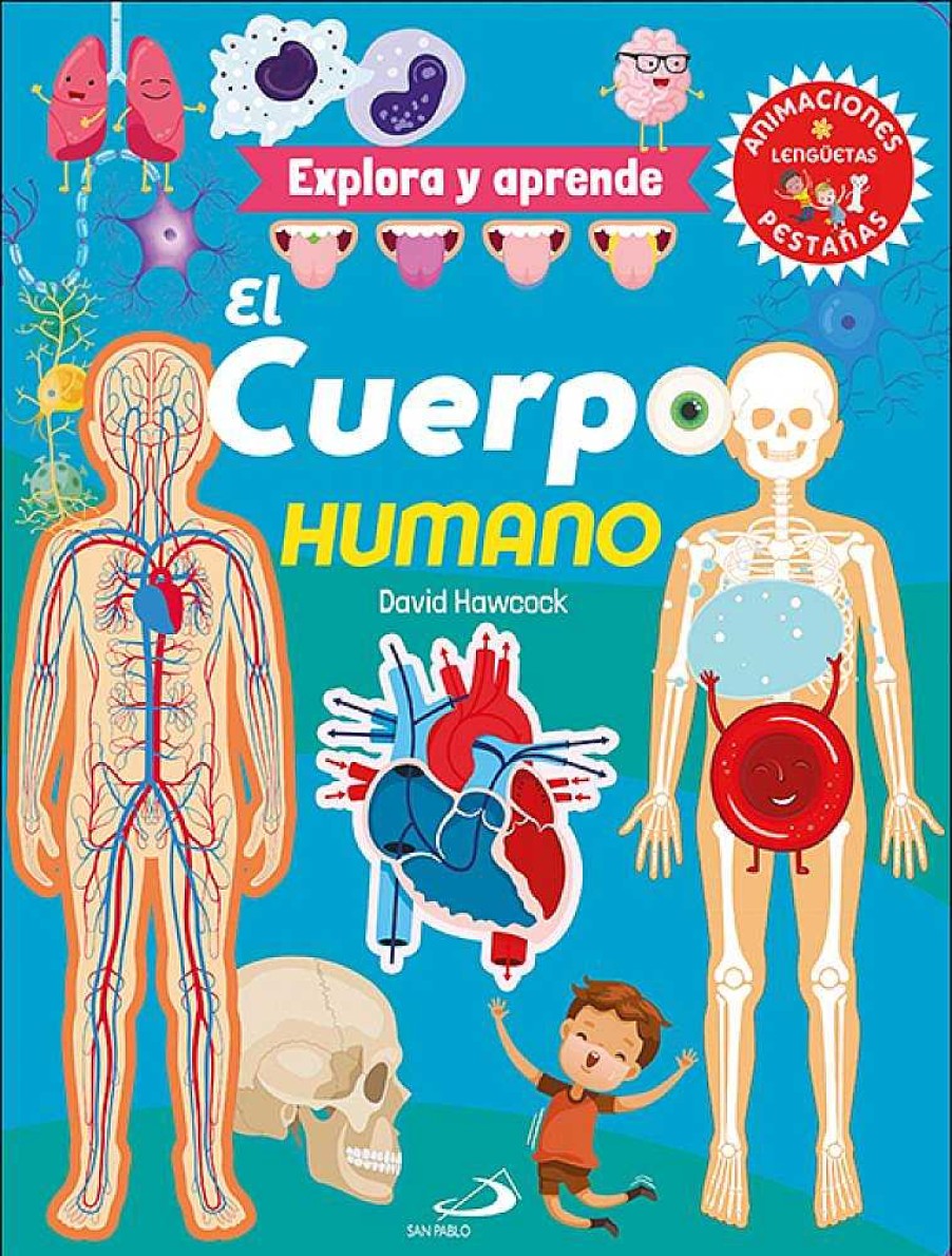 Libros Dideco Cuerpo Humano | El Cuerpo Humano