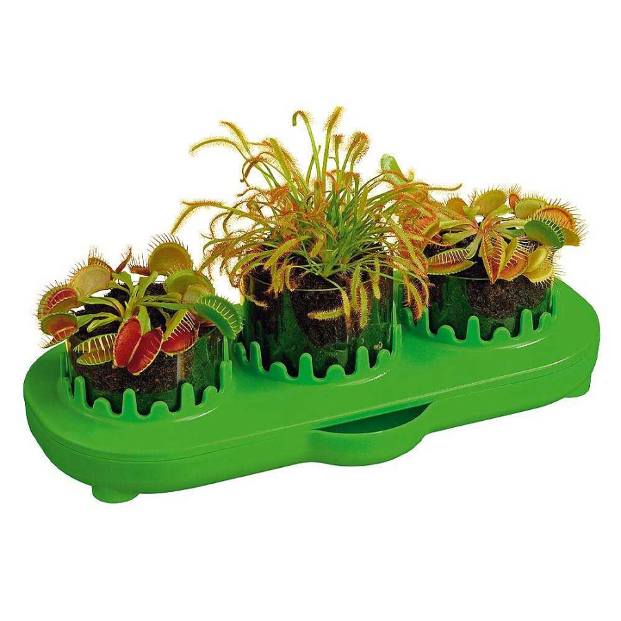 Juguetes Kosmos Naturaleza Y Exploraci N | Venus Flytrap Kit Cultivo Planta Carn Vora