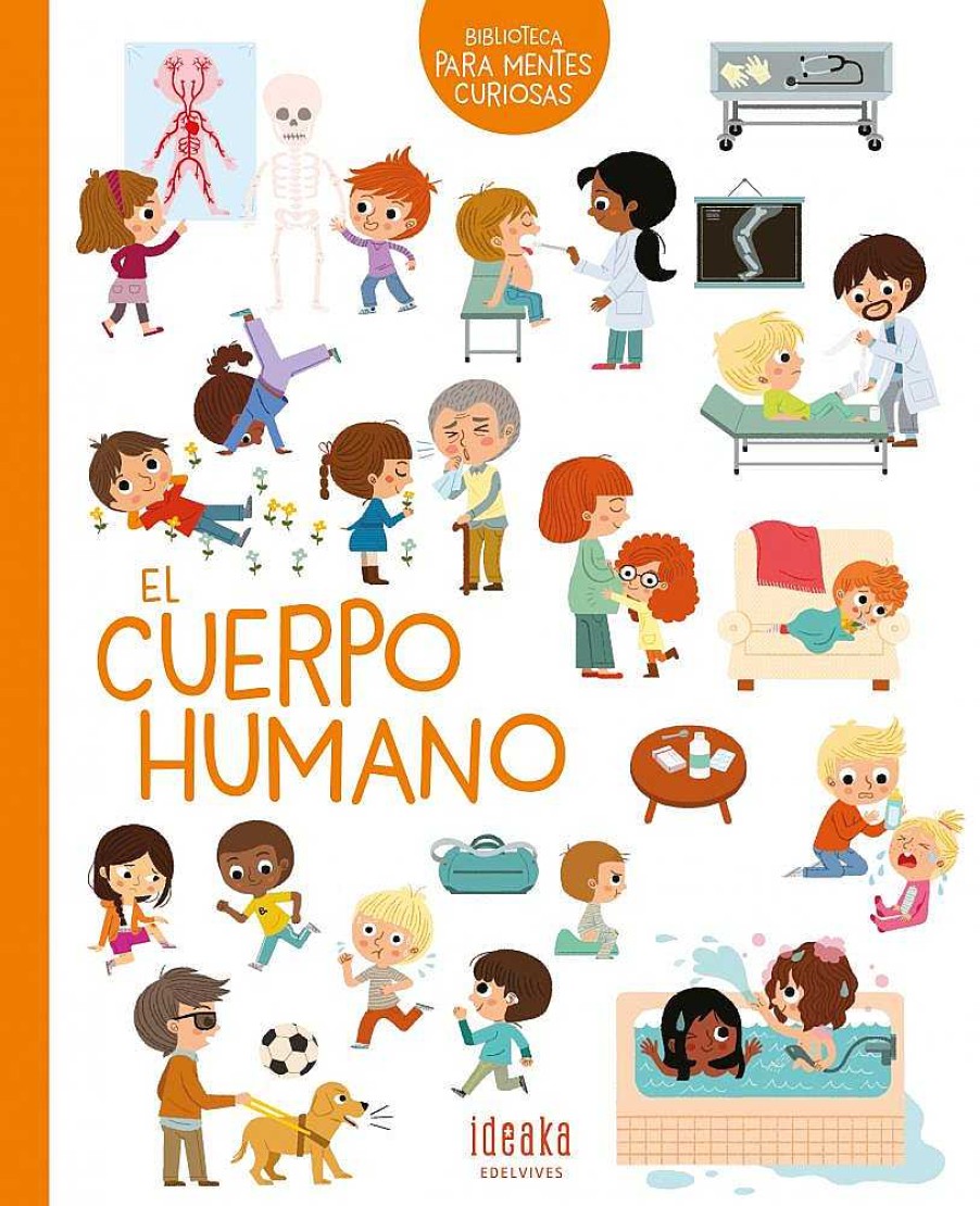 Libros Dideco Cuerpo Humano | El Cuerpo Humano