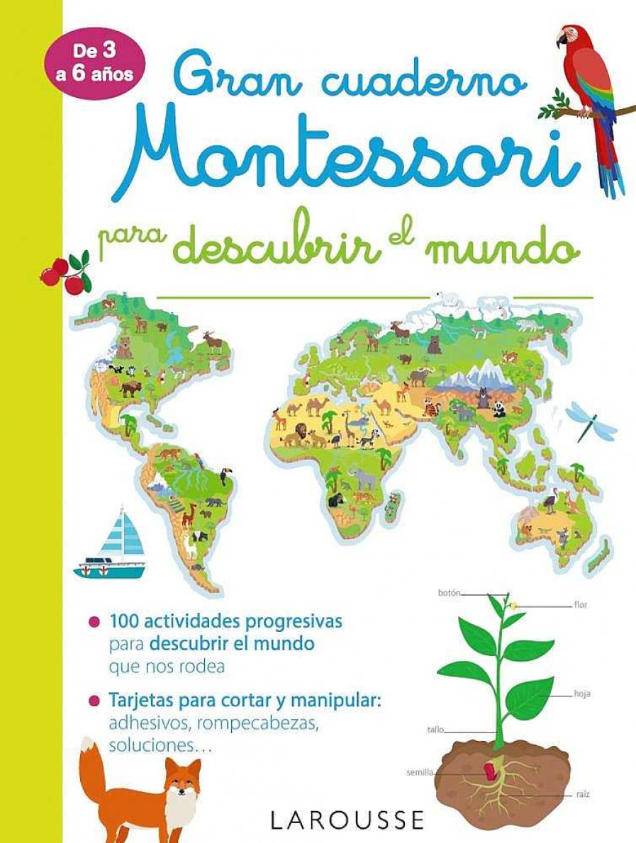 Libros Dideco Cuadernos De Verano | Gran Cuaderno Montessori Para Descubrir El Mundo