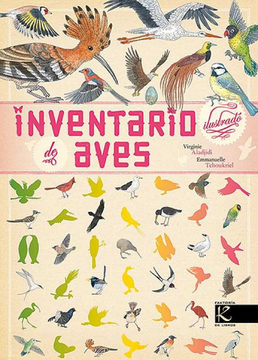 Libros Dideco Atlas, Tierra Y Animales | Inventario Ilustrado De Las Aves