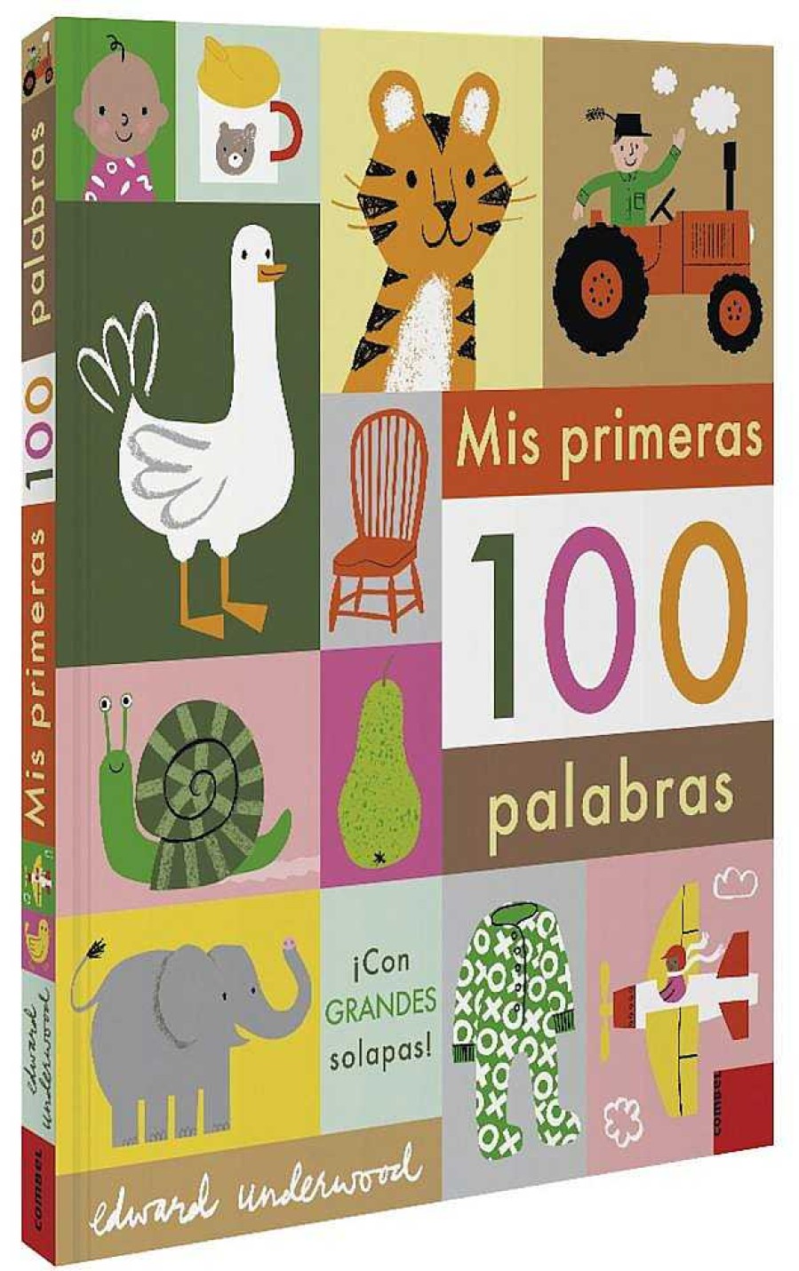 Libros Dideco Primeros Conceptos | Mis Primeras 100 Palabras