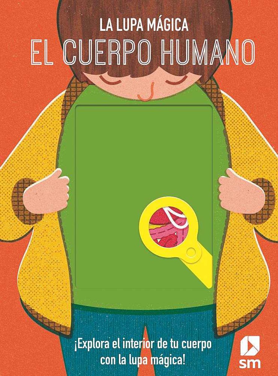 Libros Dideco Cuerpo Humano | El Cuerpo Humano