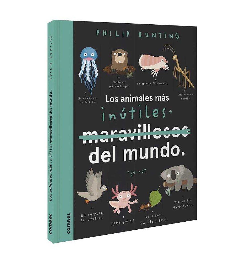 Libros Dideco Atlas, Tierra Y Animales | Los Animales M S In Tiles Del Mundo