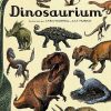 Libros Dideco Dinosaurios | Dinosaurium