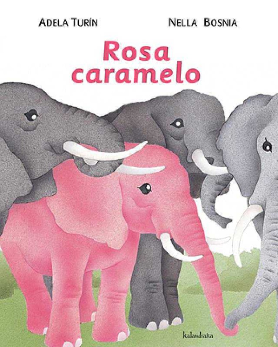 Libros Dideco Cl Sicos Dideco | Rosa Caramelo