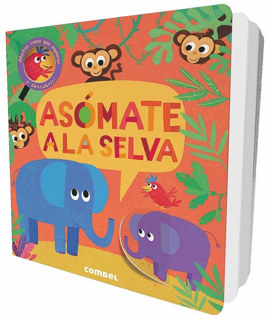 Libros Dideco | As Mate A La Selva