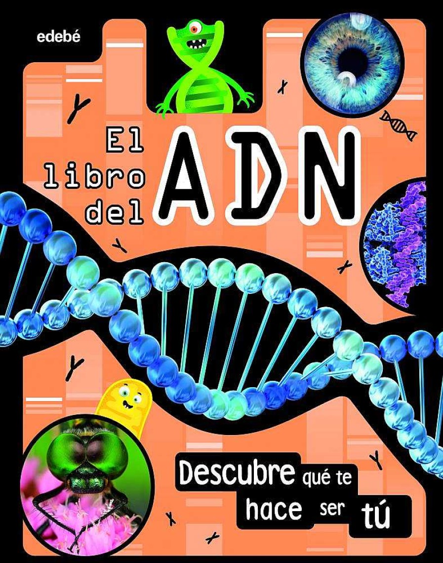 Libros Dideco Cuerpo Humano | El Libro Del Adn