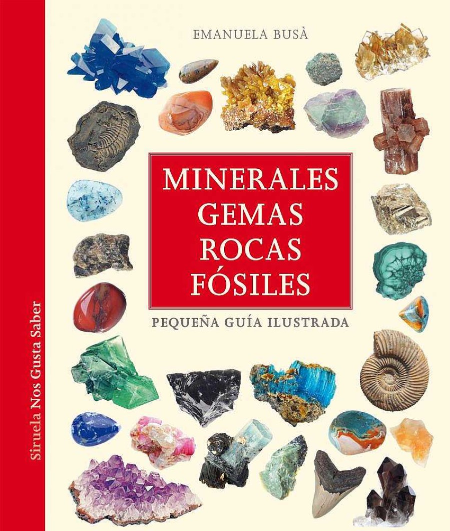 Libros Dideco Atlas, Tierra Y Animales | Minerales, Gemas, Rocas Y F Siles