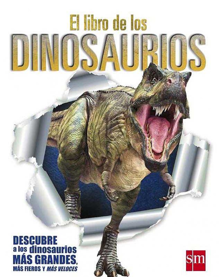 Libros Dideco Dinosaurios | El Libro De Los Dinosaurios