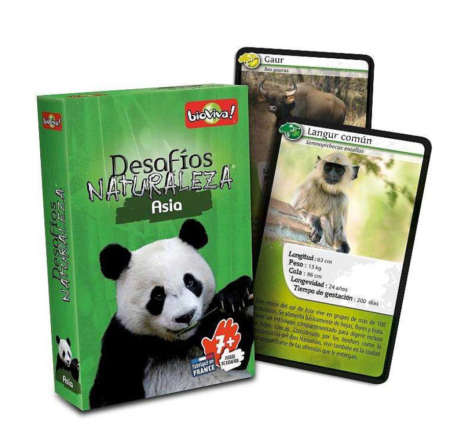 Juguetes Bioviva Juegos De Cartas | Cartas Desaf Os Naturaleza Asia