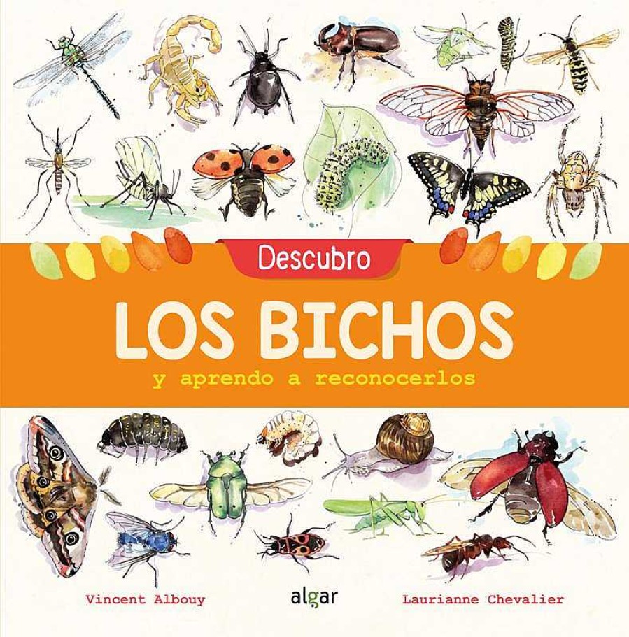 Libros Dideco Atlas, Tierra Y Animales | Descubro Los Bichos Y Aprendo A Reconocerlos