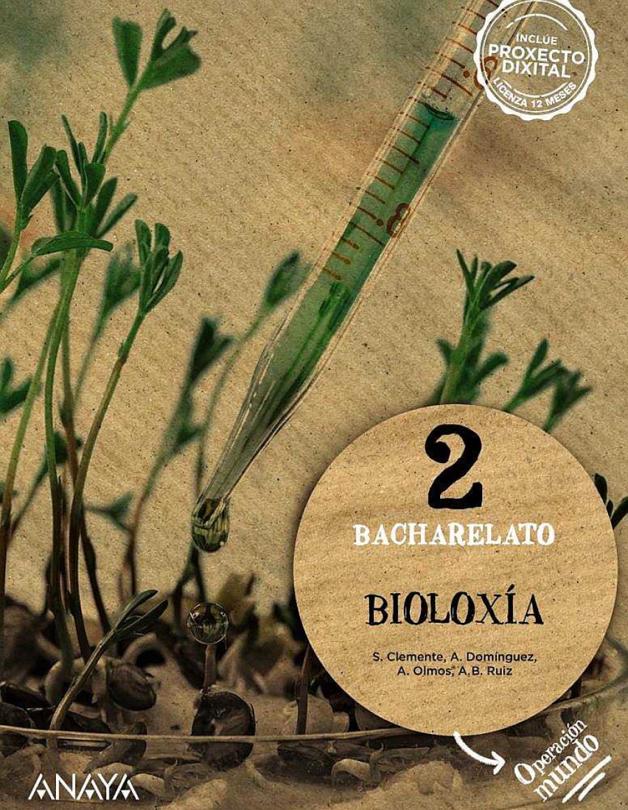 Texto Dideco | Biolox A 2.