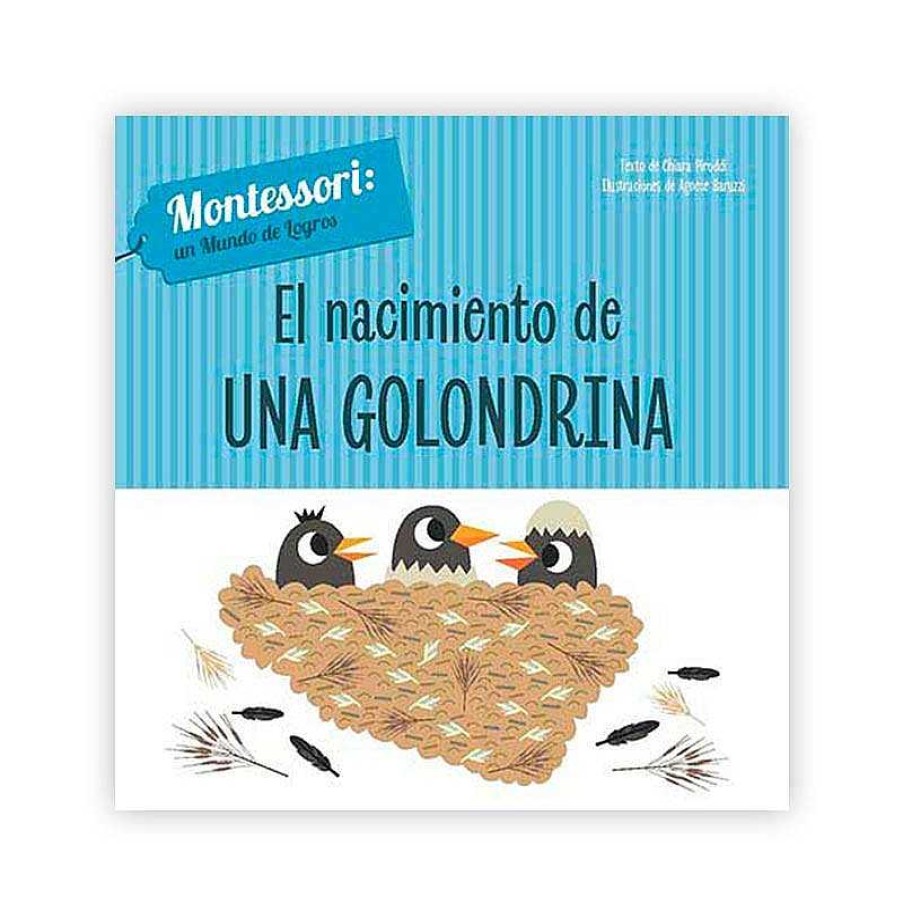 Libros Dideco Primeros Conceptos | El Nacimiento De Una Golondrina