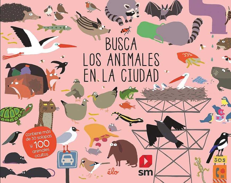 Libros Dideco Busca Y Encuentra | Busca Los Animales En La Ciudad