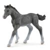 Juguetes Schleich | Potro Trakehner. Schleich