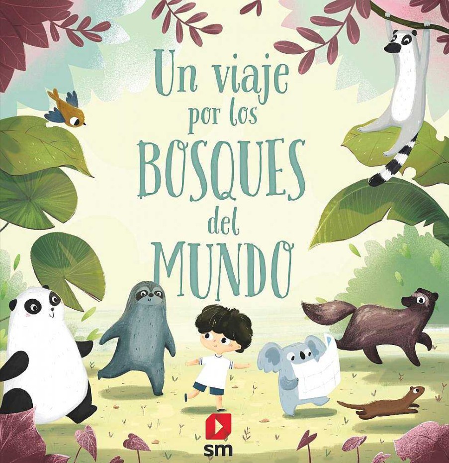 Libros Dideco Atlas, Tierra Y Animales | Un Viaje Por Los Bosques Del Mundo