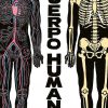 Libros Dideco Cuerpo Humano | El Cuerpo Humano