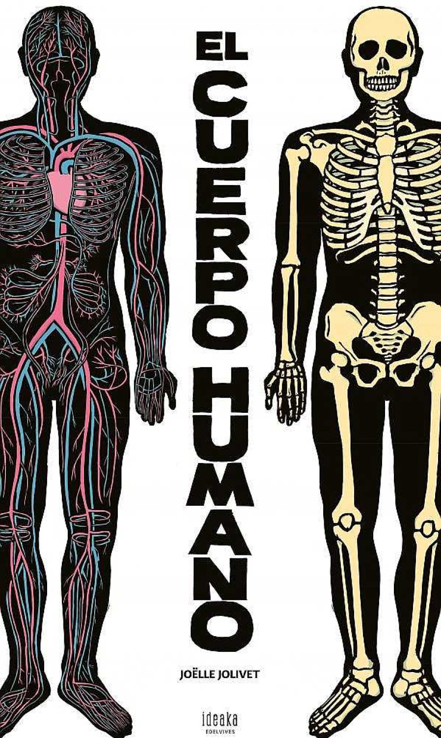 Libros Dideco Cuerpo Humano | El Cuerpo Humano