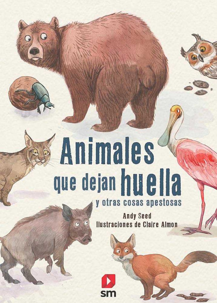 Libros Dideco Atlas, Tierra Y Animales | Animales Que Dejan Huella