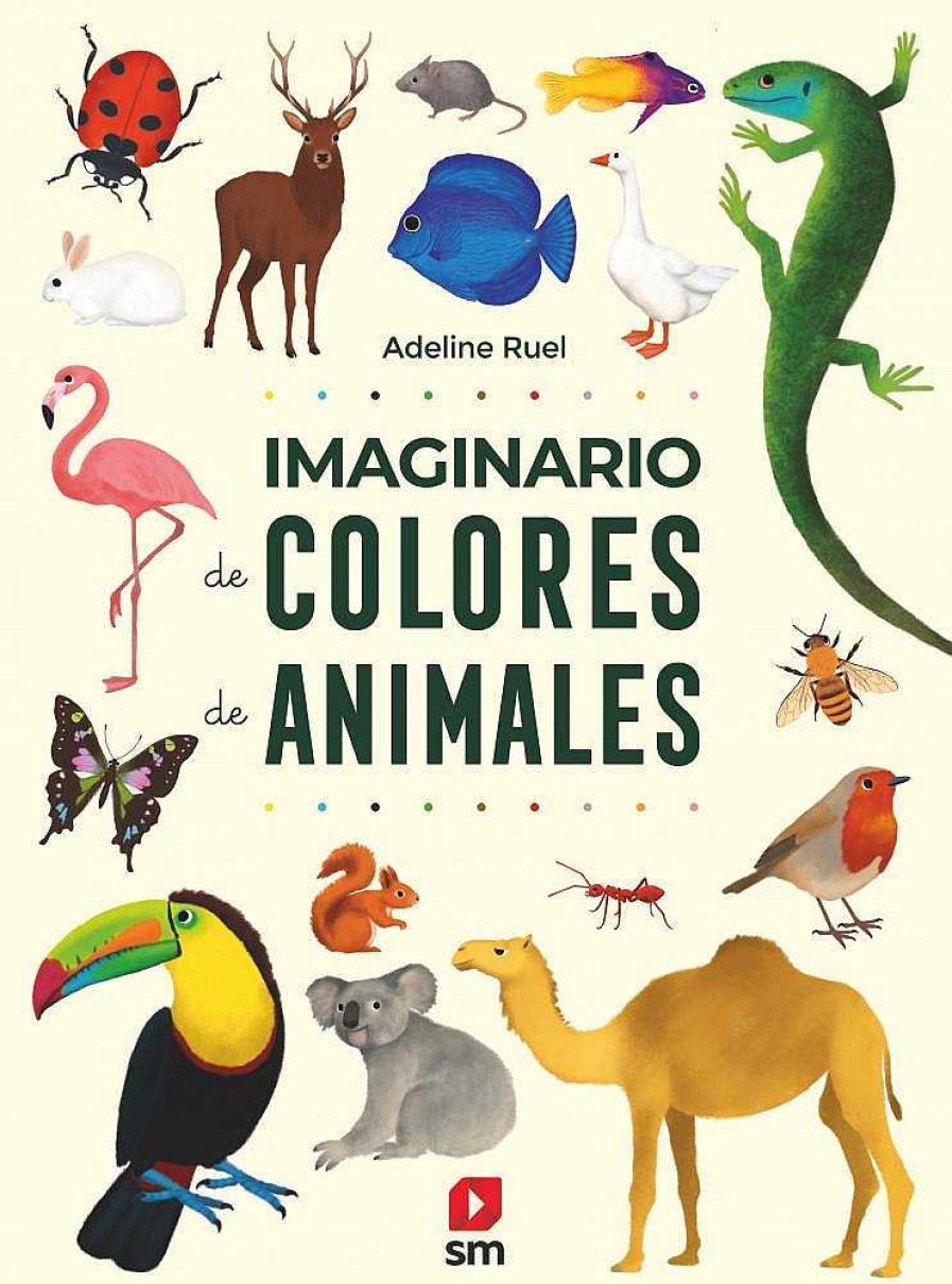 Libros Dideco Atlas, Tierra Y Animales | Imaginario De Colores De Animales