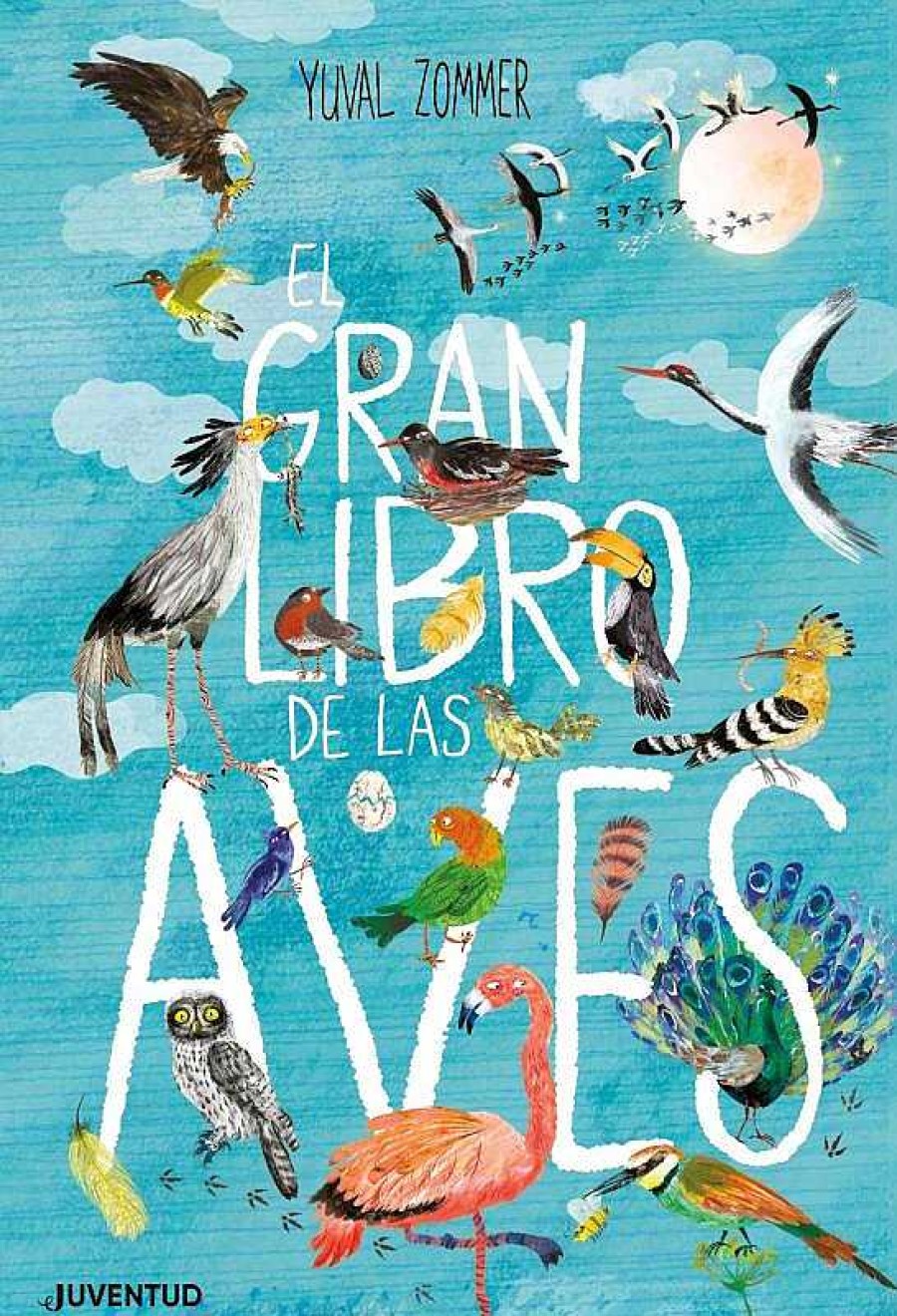 Libros Dideco Atlas, Tierra Y Animales | El Gran Libro De Las Aves