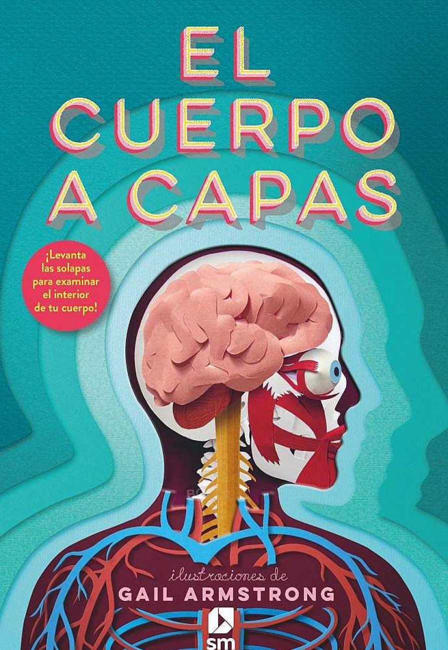 Libros Dideco Cuerpo Humano | El Cuerpo A Capas