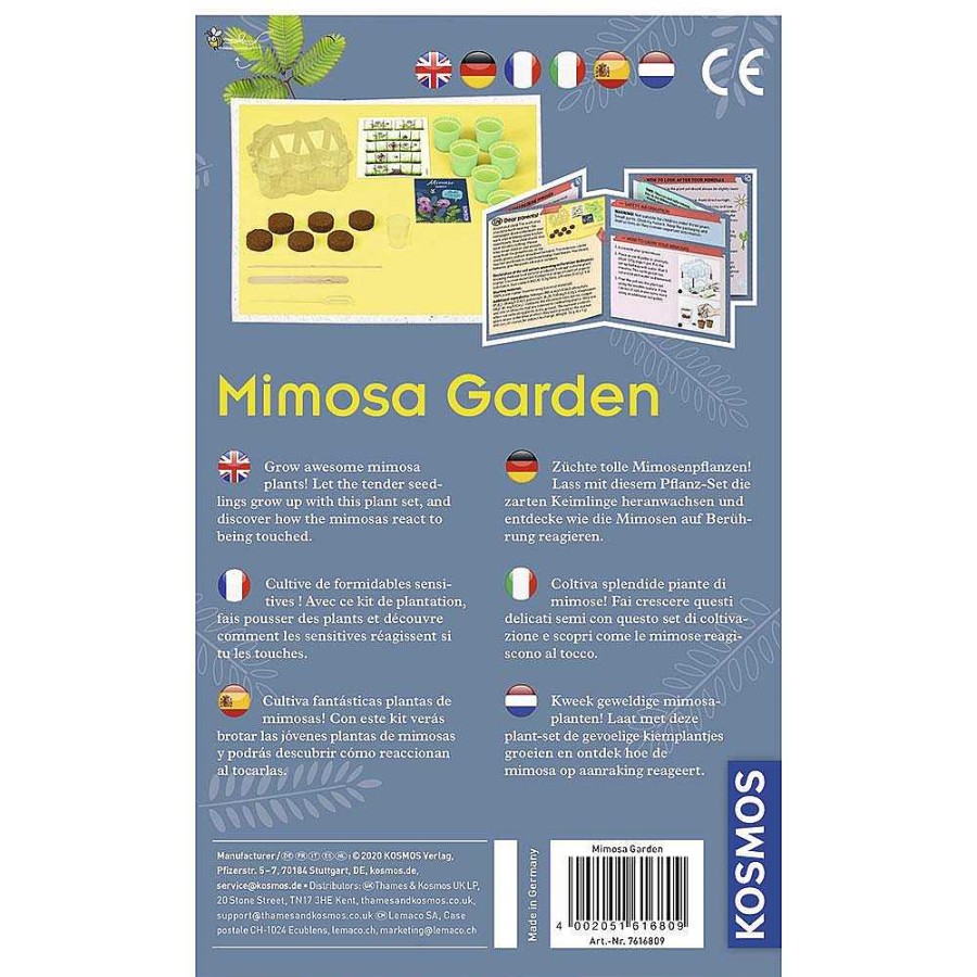 Juguetes Kosmos Naturaleza Y Exploraci N | Mimosa Garden Kit Cultivo Mimosas