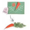 Juguetes Oli and Carol Crea E Imagina | Do It Yourself Cathy The Carrot