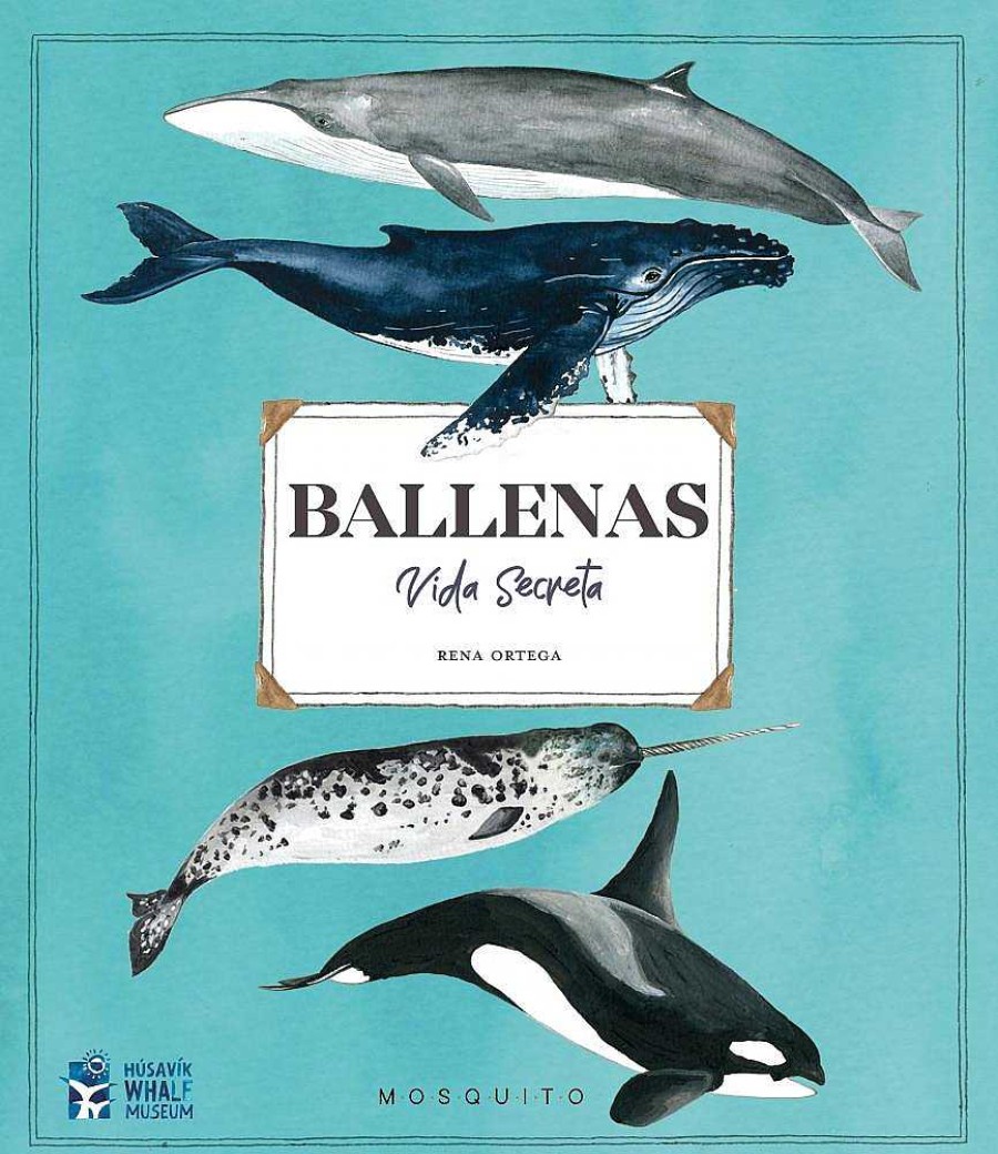 Libros Dideco Atlas, Tierra Y Animales | Ballenas. Vida Secreta