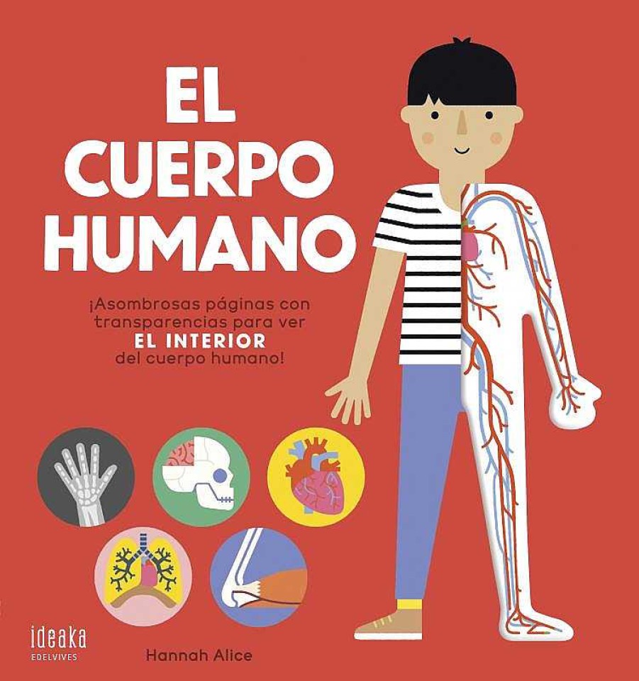 Libros Dideco Cuerpo Humano | El Cuerpo Humano