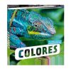 Libros Dideco Primeros Conceptos | Colores