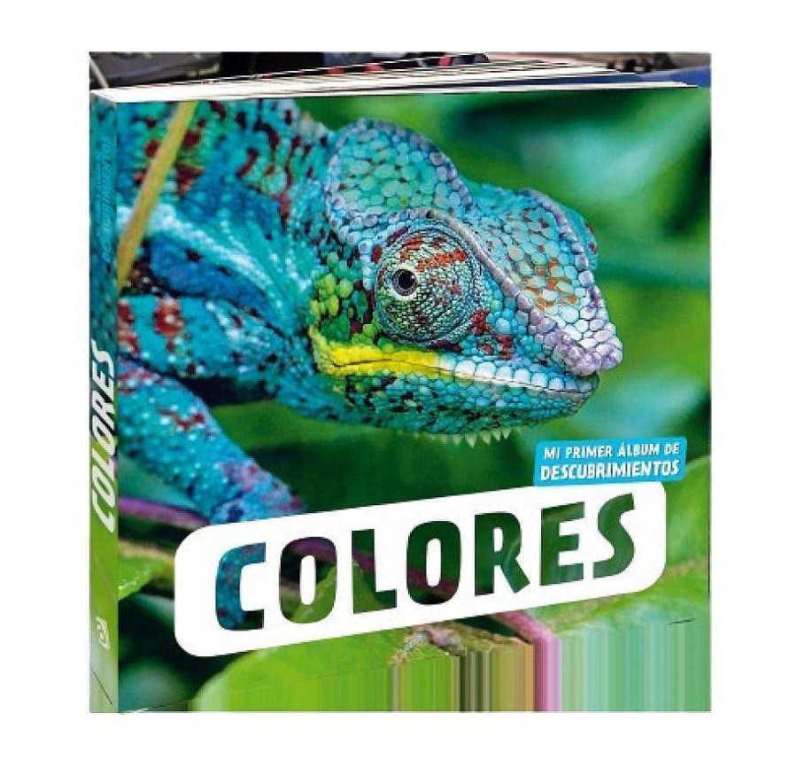 Libros Dideco Primeros Conceptos | Colores