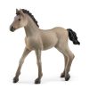 Juguetes Schleich | Potro Criollo. Schleich