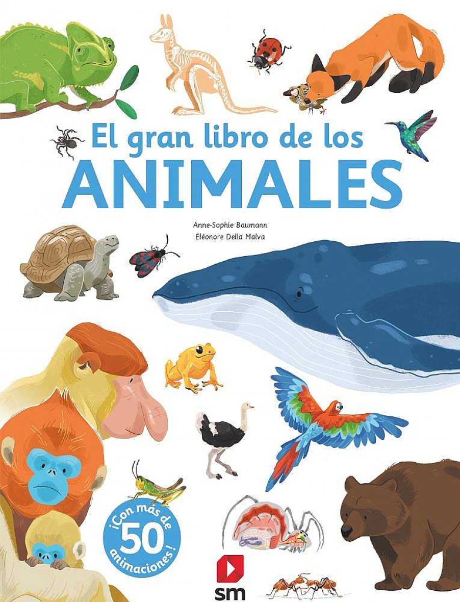 Libros Dideco Atlas, Tierra Y Animales | El Gran Libro De Los Animales