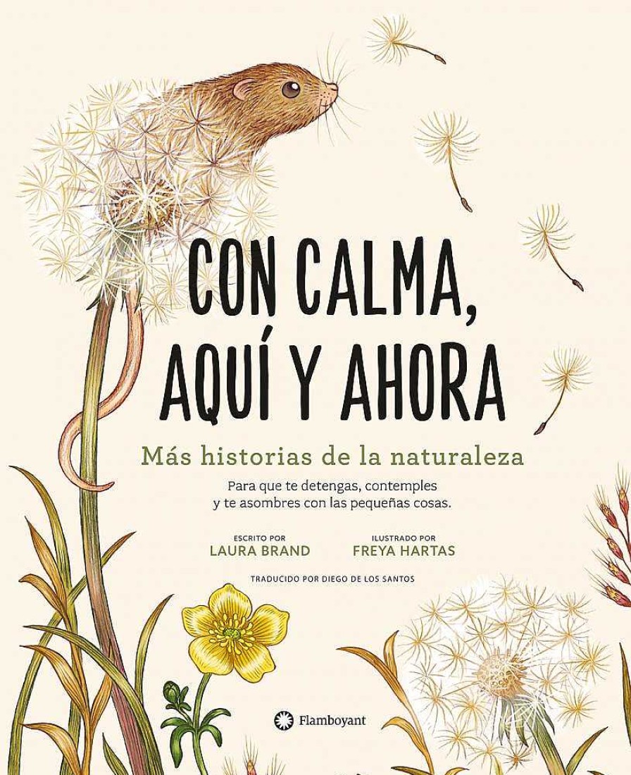 Libros Dideco Atlas, Tierra Y Animales | Con Calma, Aqu Y Ahora