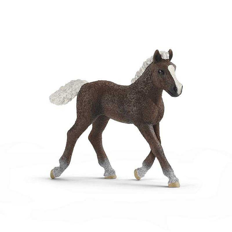 Juguetes Schleich | Potro De La Selva Negra. Schleich