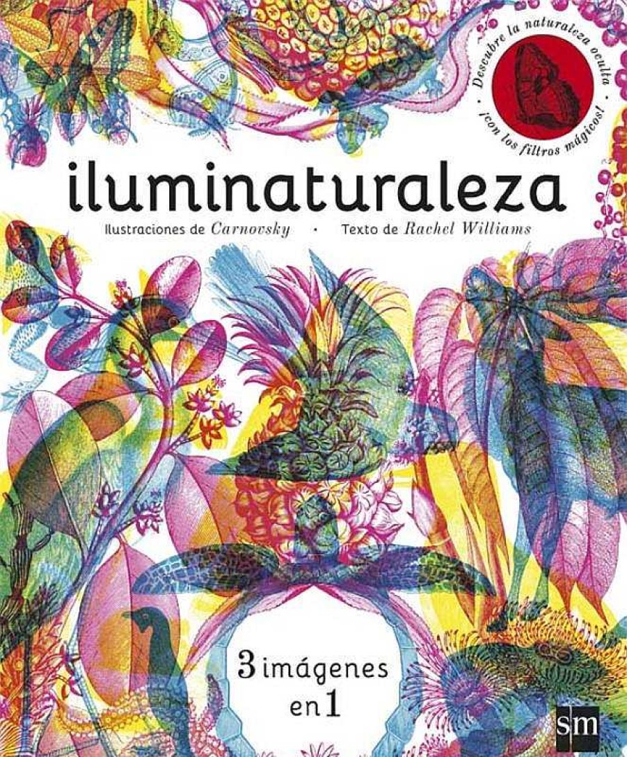 Libros Dideco Atlas, Tierra Y Animales | Iluminaturaleza