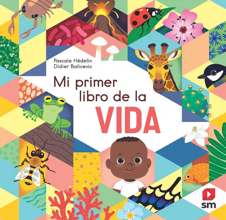 Libros Dideco | Mi Primer Libro De La Vida