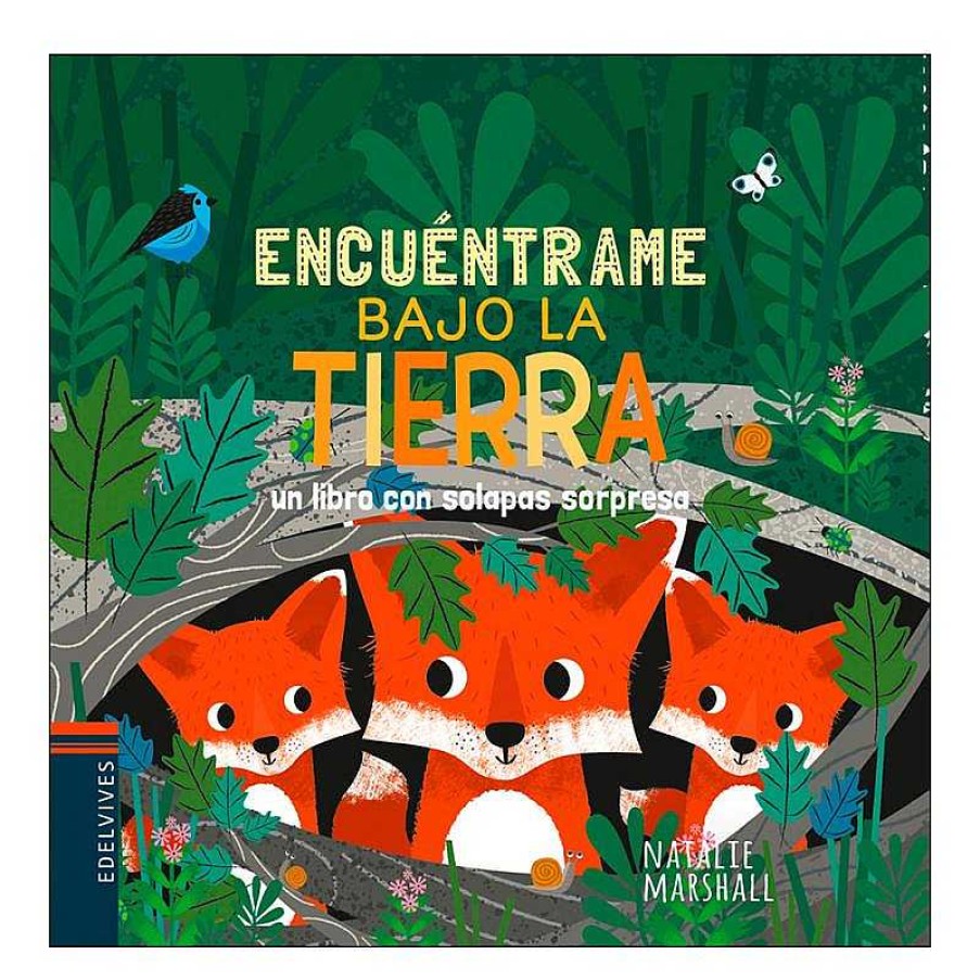 Libros Dideco Solapas Y Pop-Ups | Encu Ntrame Bajo La Tierra