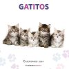 Papeler A Dideco | Calendario Gatitos 2024