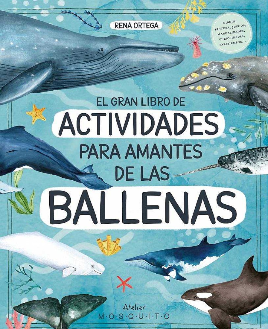 Libros Dideco Dibuja Y Colorea | El Gran Libro De Actividades Para Amantes De Las Ballenas