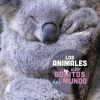 Libros Dideco Atlas, Tierra Y Animales | Los Animales M S Bonitos Del Mundo