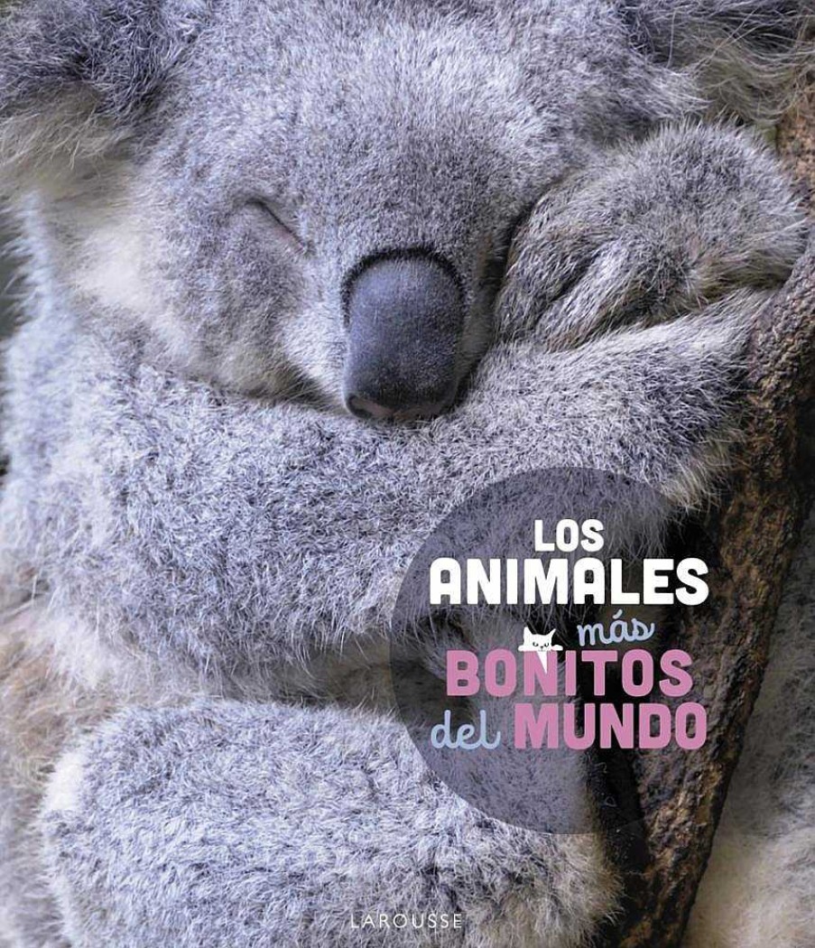 Libros Dideco Atlas, Tierra Y Animales | Los Animales M S Bonitos Del Mundo