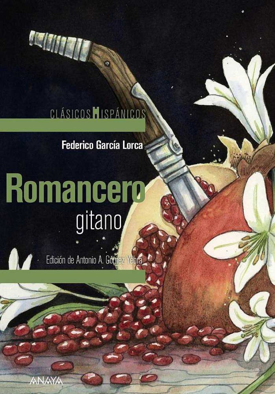 Libros Dideco Literatura Cl Sica | Romancero Gitano